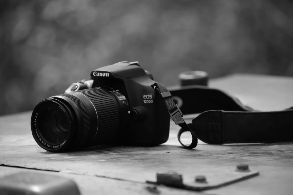 Canon EOS 6D Mark II: One of the Best Travel Cameras for Professional Photographers