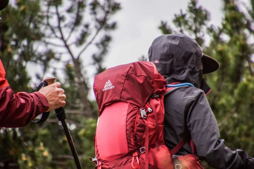 A person carrying a large backpack on a trekking or hiking adventure through a beautiful natural landscape with mountains and trees.