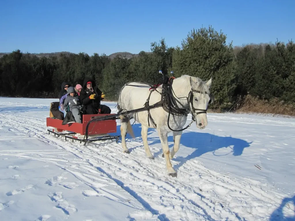 A scenic horse-drawn sleigh ride at one of the best ski resorts in Europe, surrounded by snowy mountains and winter landscapes.