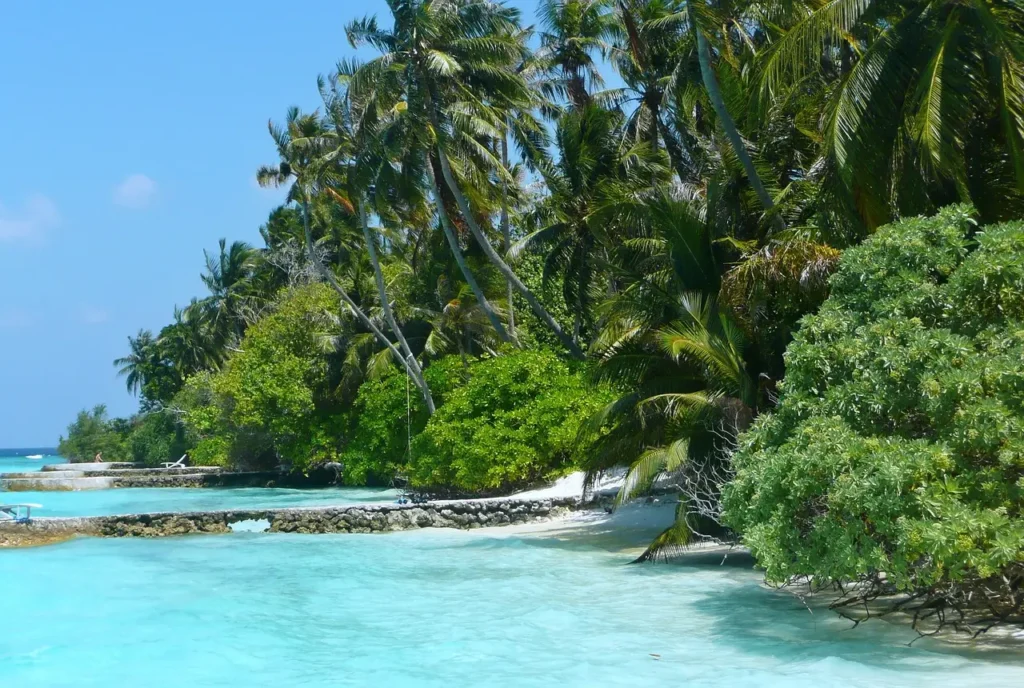 A tranquil scene of overwater bungalows perched above clear turquoise waters, with a pristine white sandy beach and lush palm trees in the background under a bright blue sky.