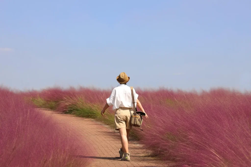 Woman solo traveler exploring the best places to solo travel in 2025, standing on a mountain peak with a breathtaking view