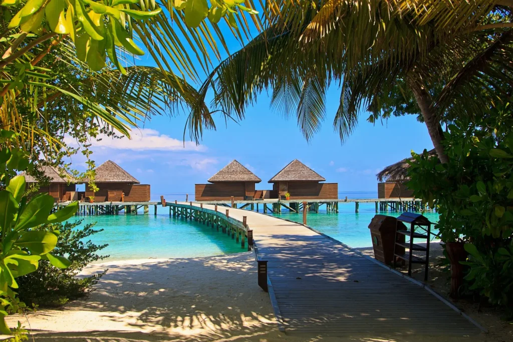 A serene view of Veligandu Island Resort & Spa in the Maldives, showcasing overwater bungalows and clear turquoise waters, epitomizing a tropical paradise ideal for February travel.