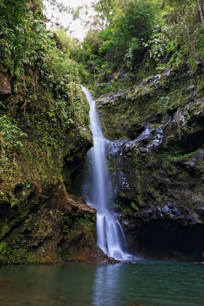 A beautiful waterfall cascades down moss-covered rocks into a crystal-clear pool, surrounded by lush green vegetation in a tropical paradise.