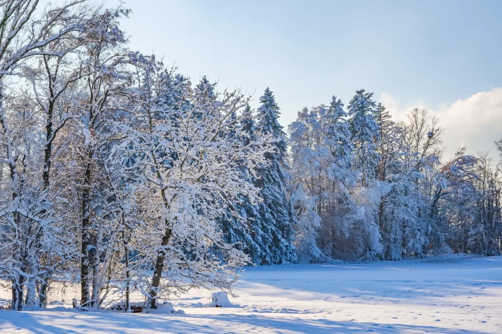 "Best time to travel to Iceland during winter, with snow-covered landscapes and majestic mountains, offering a stunning Icelandic winter experience