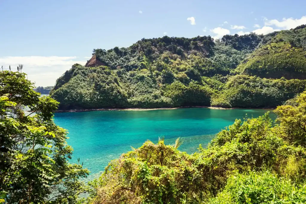 A breathtaking view of one of the best cities to live in Maui, featuring lush greenery, blue ocean waves, and a peaceful coastal setting.