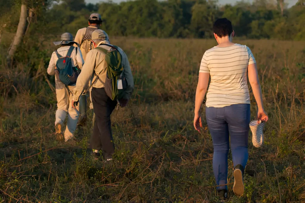 A family enjoying a walking safari adventure, dressed in stylish safari adventure outfits, exploring the wilderness together.