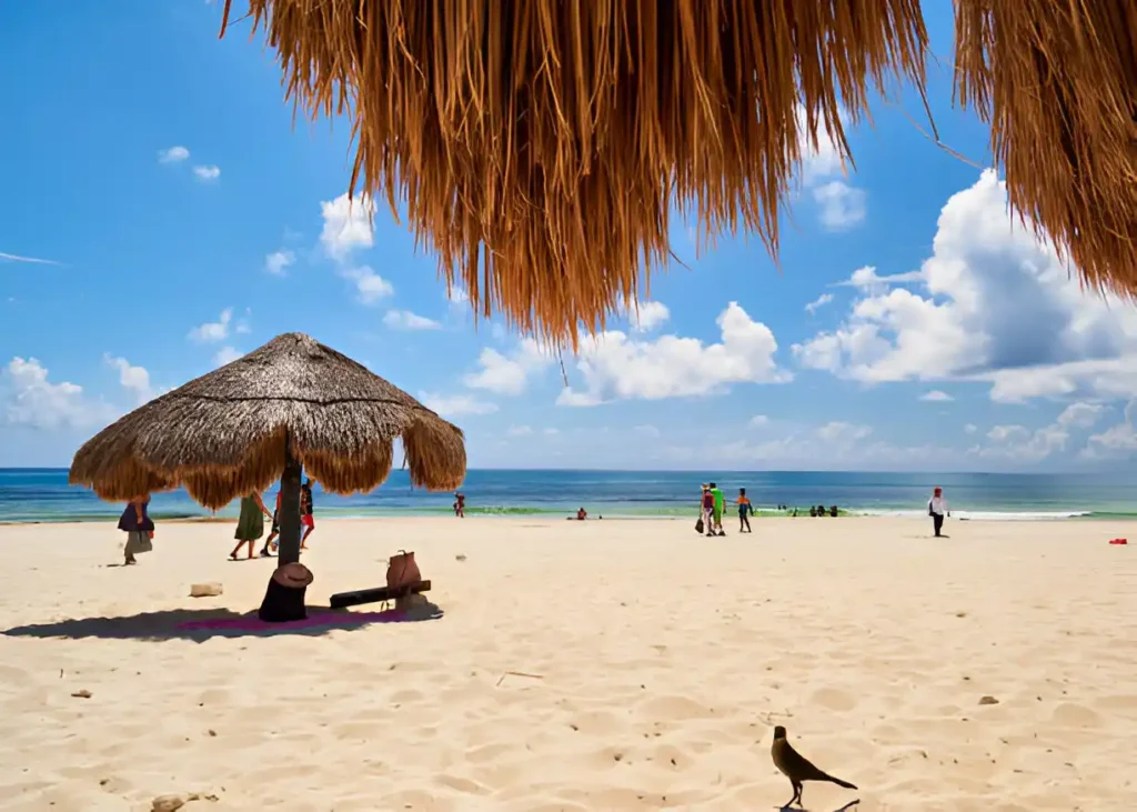 "Parasol view on a tropical beach in Mexico Beach, FL, showcasing the ideal time to visit."

