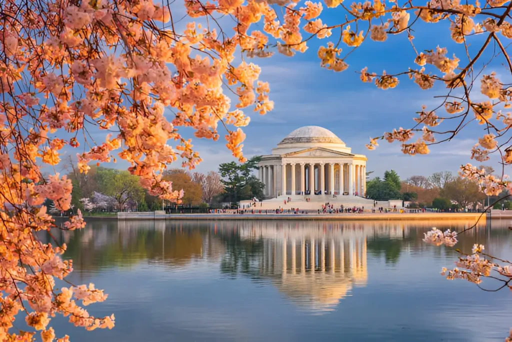 "Washington DC at the Tidal Basin with the Jefferson Memorial in spring, showcasing one of the best places to travel in May USA."

