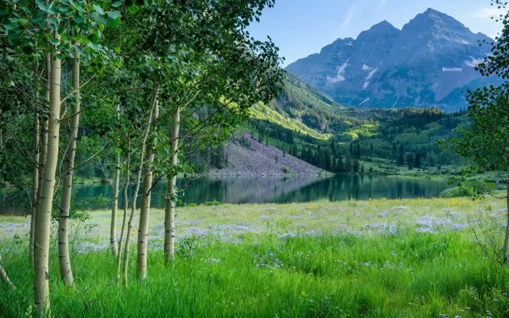 Aspen, Colorado in summer with lush meadows, wildflowers, and mountain views—one of the best places to visit in August USA.