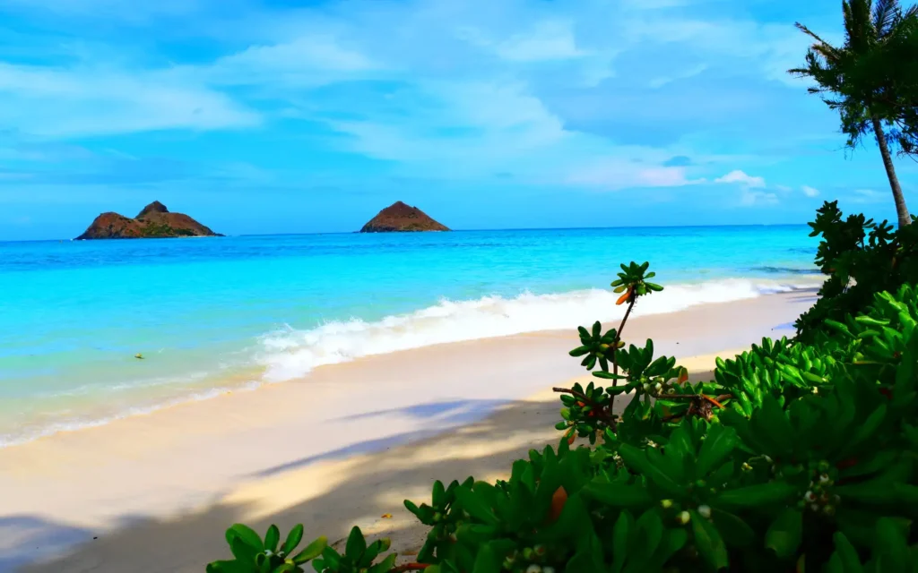 Turquoise waters and soft white sand at Lanikai Beach, one of the best beaches in Oahu, with the Mokulua Islands in the distance and tropical plants in the foreground.