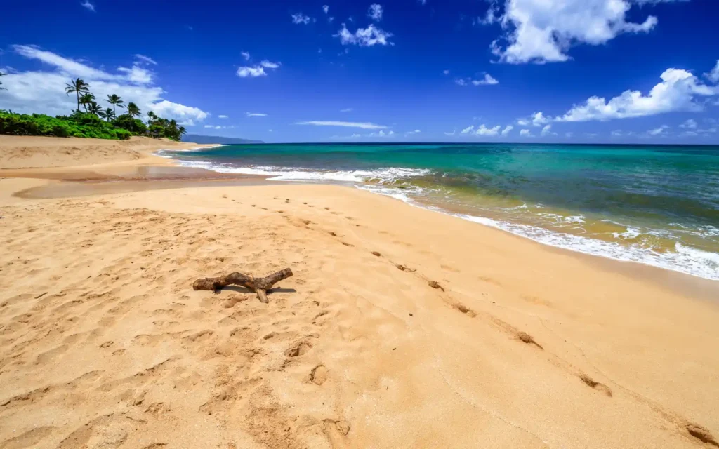 Golden sand and clear blue skies at Sunset Beach, one of the best beaches in Oahu, Hawaii.